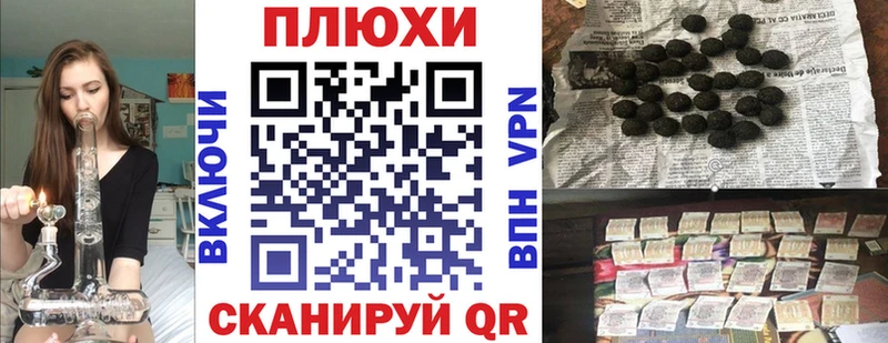 что такое   Западная Двина  ГАШ VHQ 