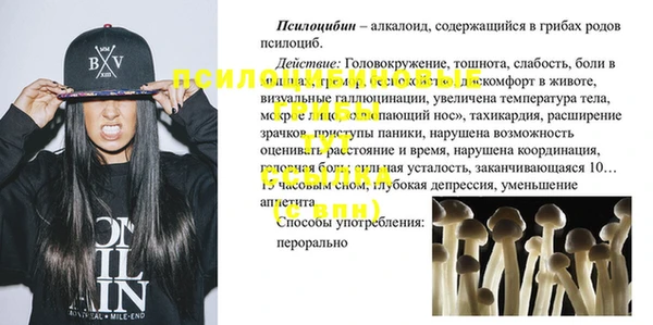 дмт Алексин