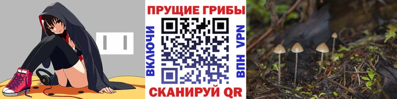 Галлюциногенные грибы GOLDEN TEACHER  Западная Двина 