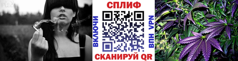 Марихуана сатива  сайты даркнета наркотические препараты  Западная Двина 
